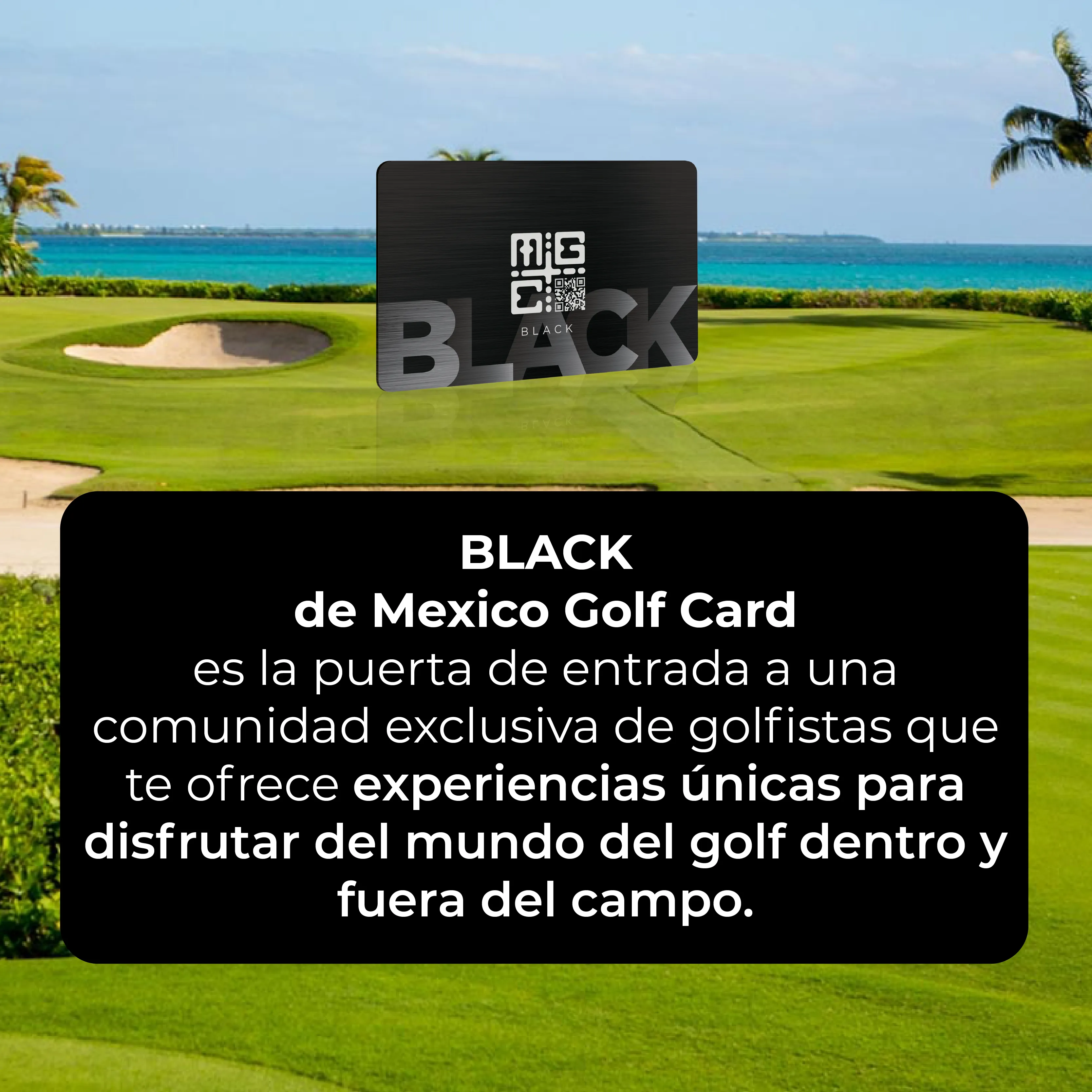 BLACK  MEMBRESíA ANUAL PARA CABALLEROS DE MEXICO GOLF CARD