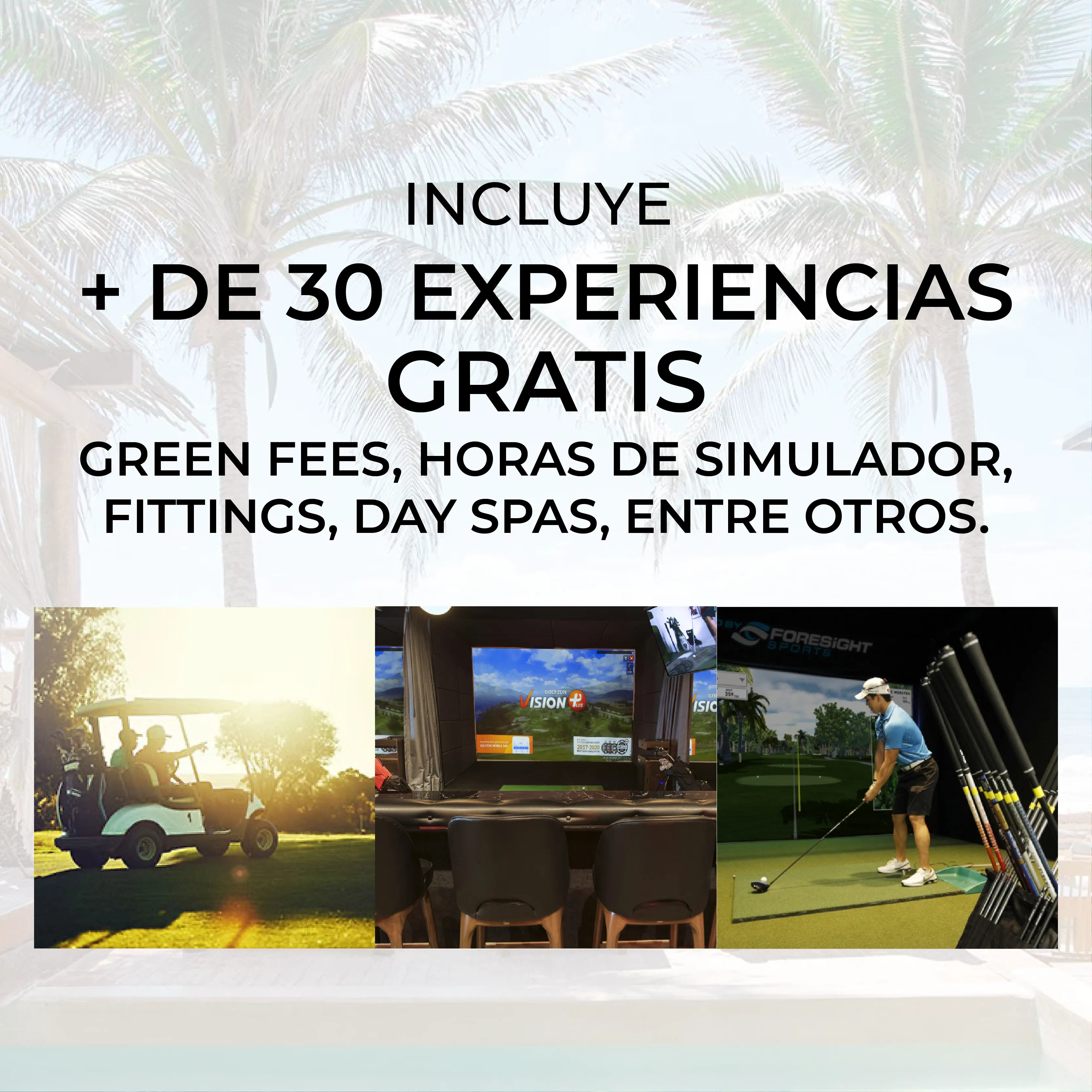 BLACK  MEMBRESíA ANUAL PARA CABALLEROS DE MEXICO GOLF CARD