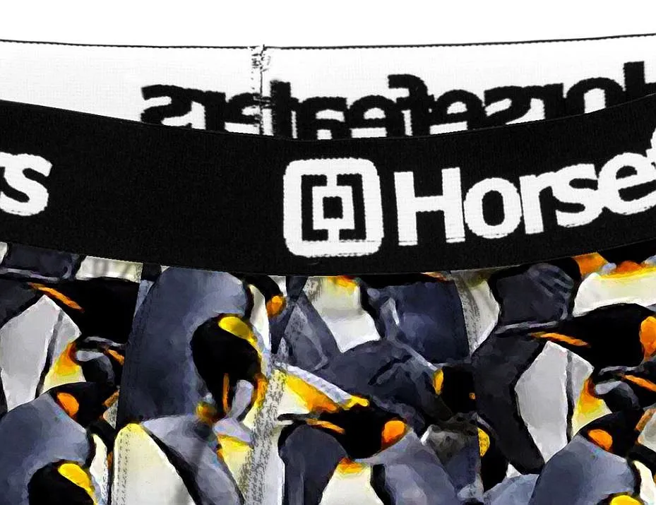CALZONCILLOS HORSEFEATHERS SIDNEY  PENGUINS  MEN´S