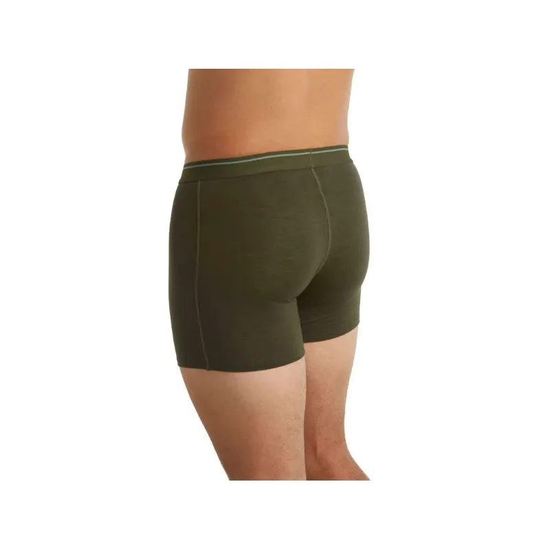 Calzoncillos para hombre Icebreaker Anatomica (Loden)