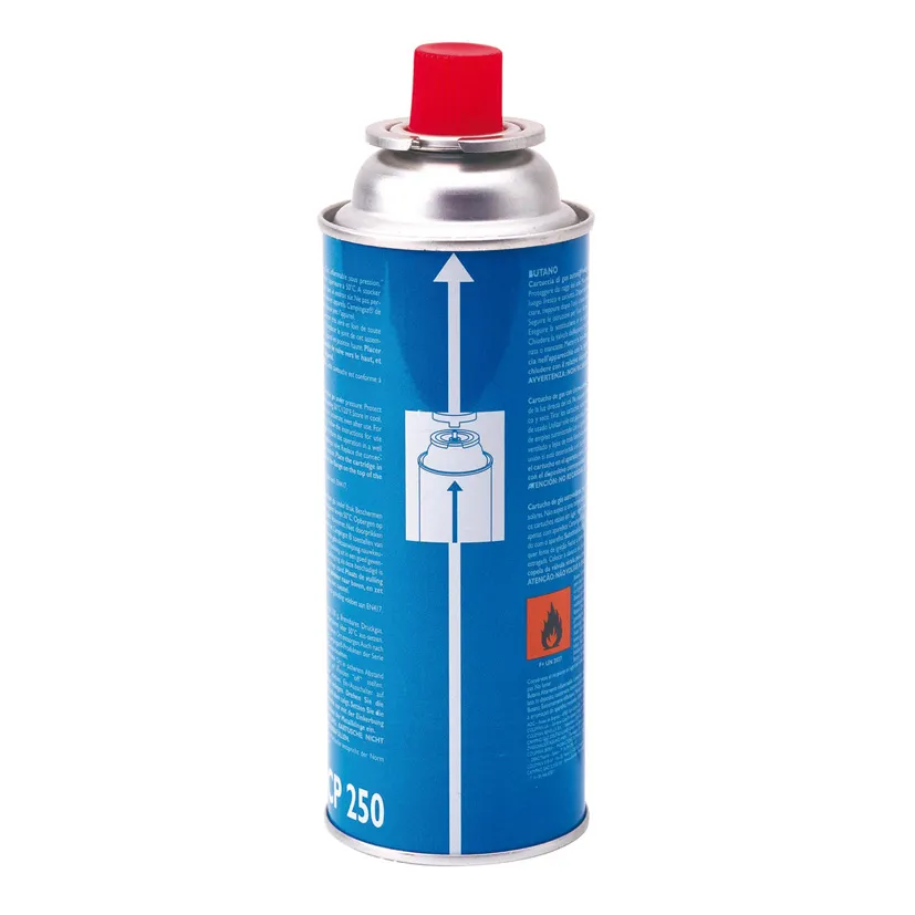 Cartucho de gas CAMPINGAZ CP/250