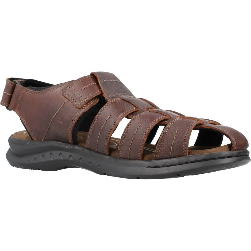 CLARKS WALKFORD FISH