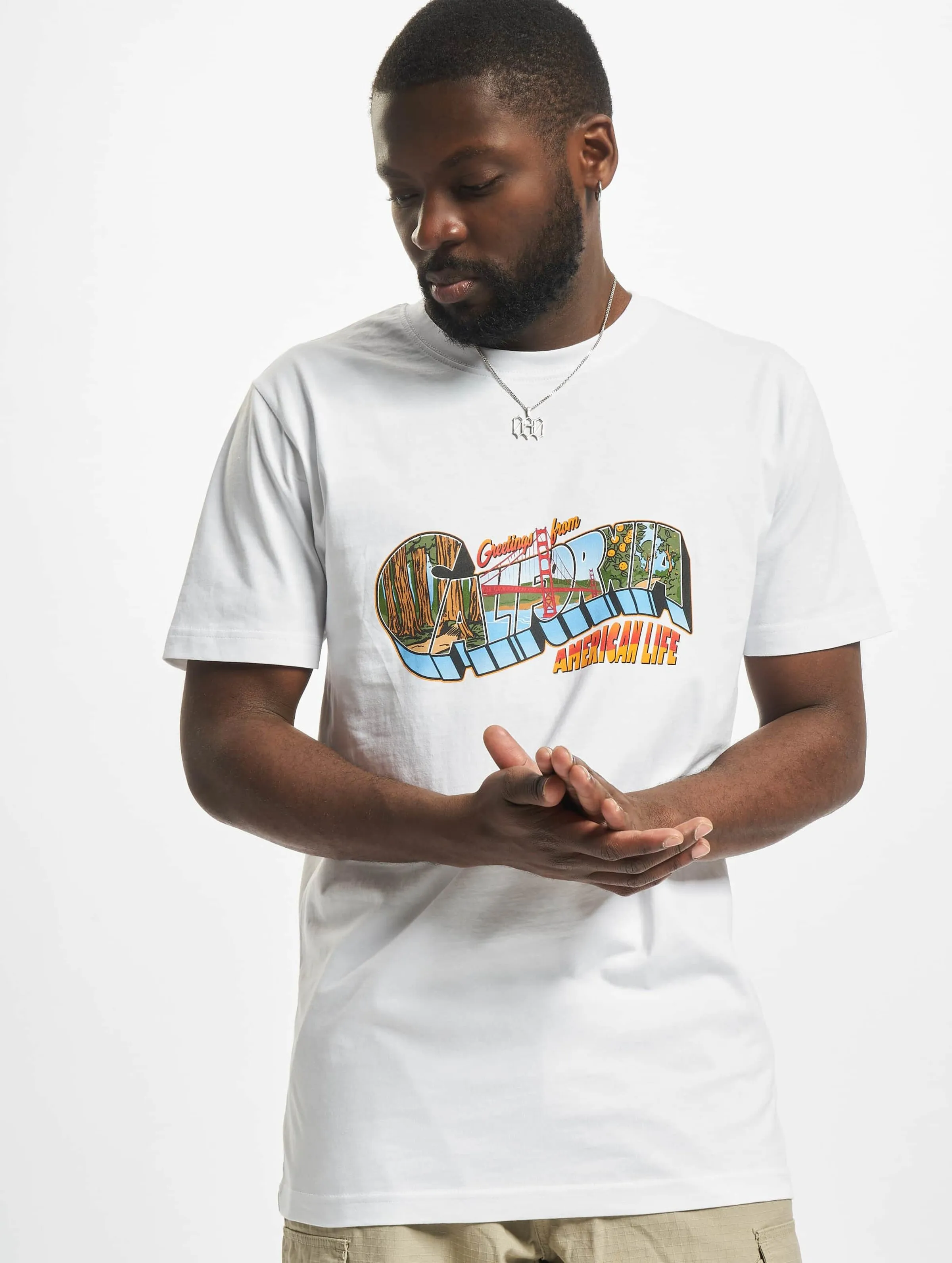 Mister Tee American Life Greetings